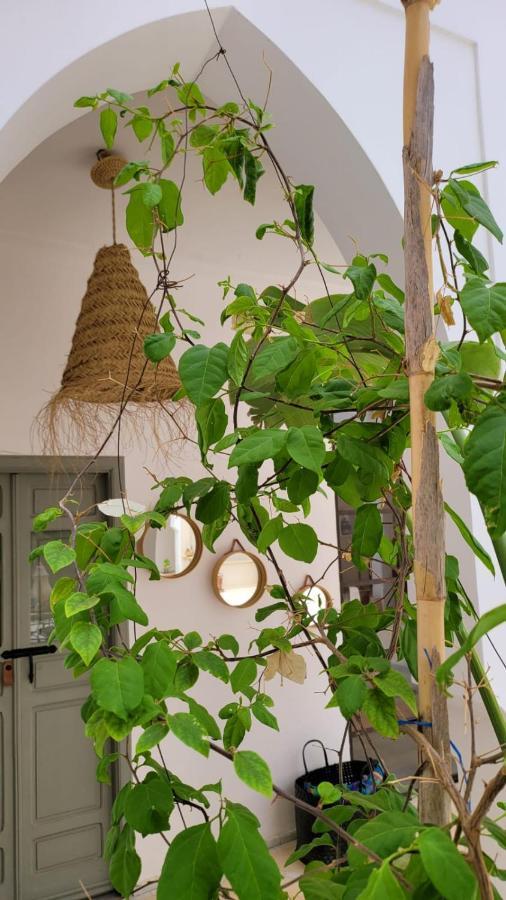 Riad Nohad Marrakech Марракеш Екстер'єр фото